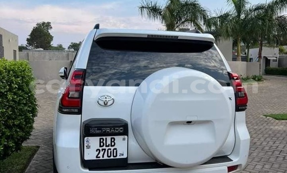 Tenga Tsaru Toyota Land Cruiser Prado Chena Mota in Lusaka in Zambia Tenga Tsaru Toyota Land Cruiser Prado Chena Mota in Lusaka in Zambia