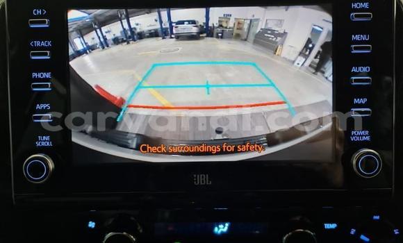 Tenga Tsaru Toyota Hilux Chena Mota in Lusaka in Zambia Tenga Tsaru Toyota Hilux Chena Mota in Lusaka in Zambia