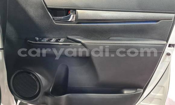 Tenga Tsaru Toyota Hilux Chena Mota in Lusaka in Zambia Tenga Tsaru Toyota Hilux Chena Mota in Lusaka in Zambia