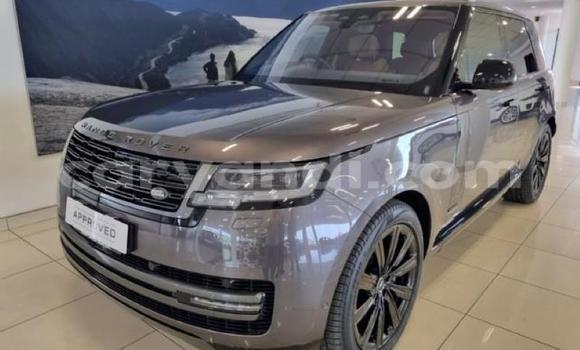Buy Used Range Rover Range Rover Silver Car in Lusaka in Zambia