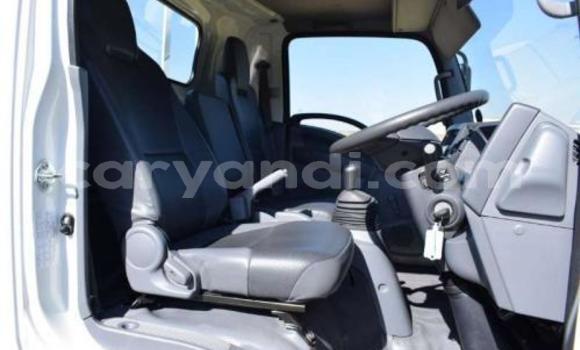 Tenga Tsaru Isuzu FTR 850 Chena Rori in Lusaka in Zambia Tenga Tsaru Isuzu FTR 850 Chena Rori in Lusaka in Zambia