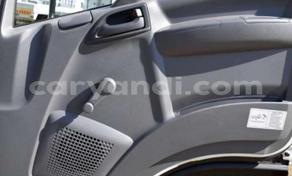 Tenga Tsaru Isuzu FTR 850 Chena Rori in Lusaka in Zambia Tenga Tsaru Isuzu FTR 850 Chena Rori in Lusaka in Zambia