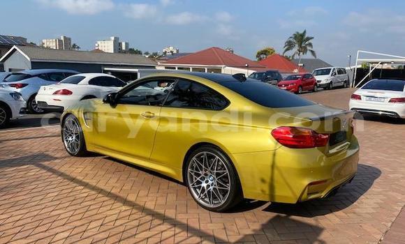 Tenga Tsaru BMW M4 Beige Mota in Lusaka in Zambia Tenga Tsaru BMW M4 Beige Mota in Lusaka in Zambia