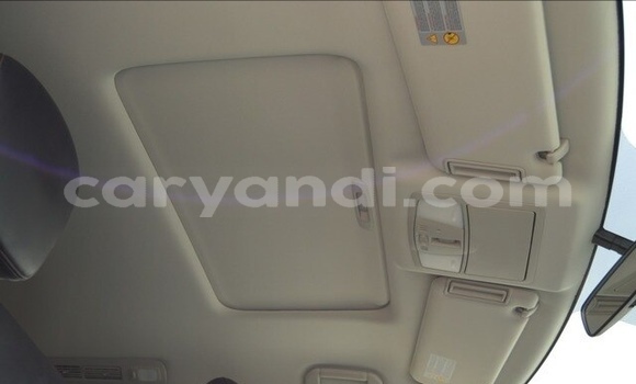 Buy Used Nissan Patrol White Car in Lusaka in Zambia Buy Used Nissan Patrol White Car in Lusaka in Zambia