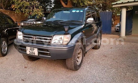 Tenga Tsaru Toyota Land Cruiser Prado Girinhi Mota in Lusaka in Zambia Tenga Tsaru Toyota Land Cruiser Prado Girinhi Mota in Lusaka in Zambia