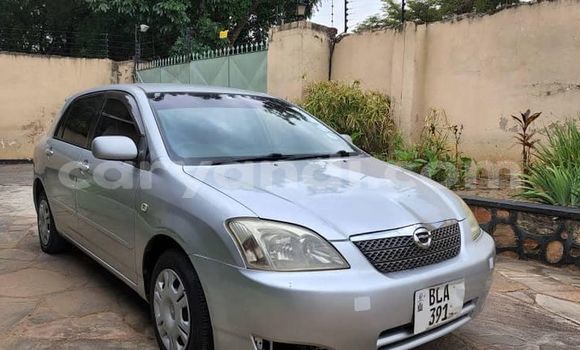 Buy Used Toyota Runx Silver Car in Lusaka in Zambia
