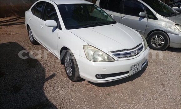 Buy Used Toyota Allion White Car in Lusaka in Zambia