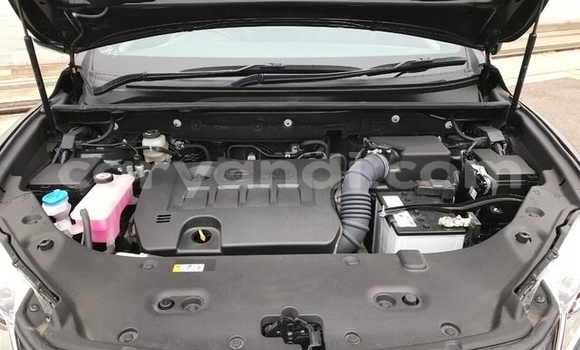 Tenga Tsaru Toyota Harrier Nhema Mota in Lusaka in Zambia Tenga Tsaru Toyota Harrier Nhema Mota in Lusaka in Zambia