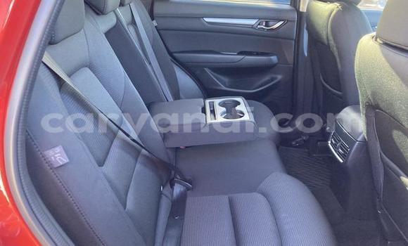 Buy Used Mazda CX-5 Red Car in Chilanga in Lusaka Buy Used Mazda CX-5 Red Car in Chilanga in Lusaka