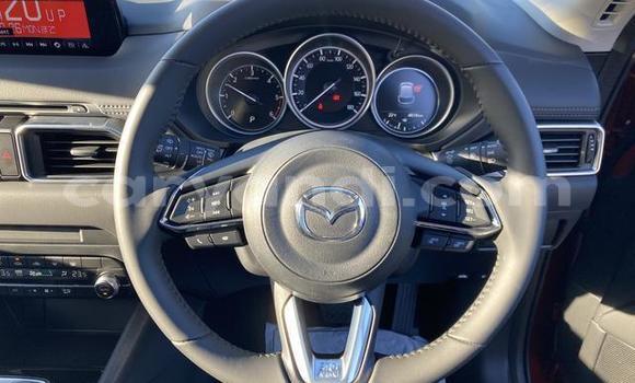 Buy Used Mazda CX-5 Red Car in Chilanga in Lusaka Buy Used Mazda CX-5 Red Car in Chilanga in Lusaka