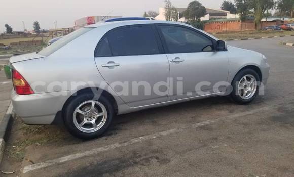 Buy Used Toyota Corolla Silver Car in Lusaka in Zambia