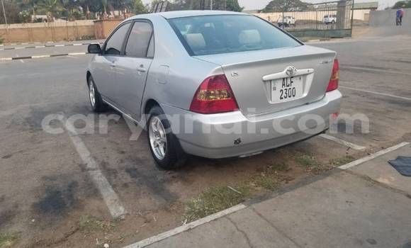Acheter Occasion Voiture Toyota Corolla Gris à Lusaka, Zambie Acheter Occasion Voiture Toyota Corolla Gris à Lusaka, Zambie