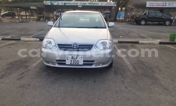 Acheter Occasion Voiture Toyota Corolla Gris à Lusaka, Zambie Acheter Occasion Voiture Toyota Corolla Gris à Lusaka, Zambie