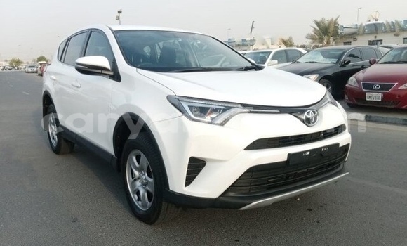 Buy Used Toyota RAV4 White Car in Lusaka in Zambia Buy Used Toyota RAV4 White Car in Lusaka in Zambia