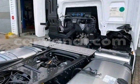 Acheter Occasion Utilitaire Man TGX Blanc à Lusaka, Zambie Acheter Occasion Utilitaire Man TGX Blanc à Lusaka, Zambie