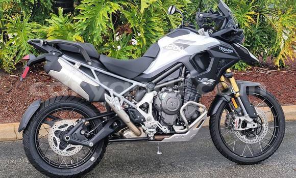 Buy Used Triumph Tiger Black Bike in Chipata in Zambia
