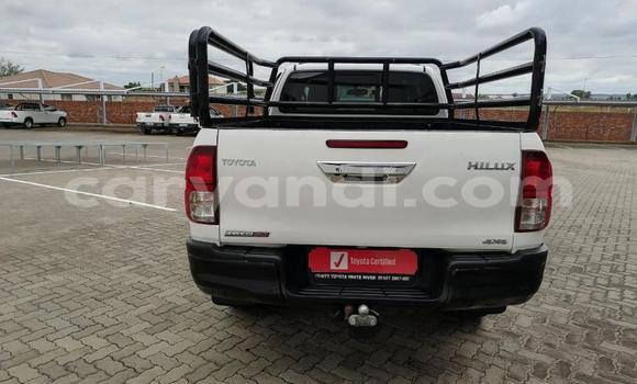 Tenga Tsaru Toyota Hilux Chena Mota in Livingstone in Zambia Tenga Tsaru Toyota Hilux Chena Mota in Livingstone in Zambia