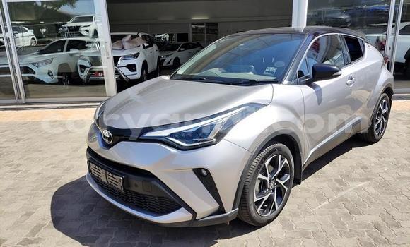 Buy Used Toyota C-HR Silver Car in Livingstone in Zambia