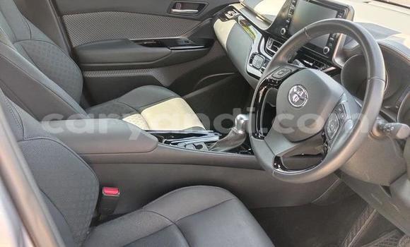 Buy Used Toyota C-HR Silver Car in Livingstone in Zambia Buy Used Toyota C-HR Silver Car in Livingstone in Zambia