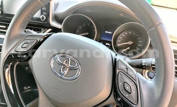 Buy Used Toyota C-HR Silver Car in Livingstone in Zambia Buy Used Toyota C-HR Silver Car in Livingstone in Zambia
