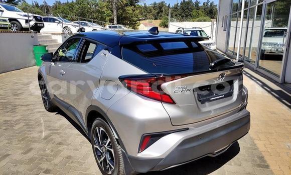 Buy Used Toyota C-HR Silver Car in Livingstone in Zambia Buy Used Toyota C-HR Silver Car in Livingstone in Zambia