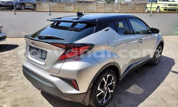 Buy Used Toyota C-HR Silver Car in Livingstone in Zambia Buy Used Toyota C-HR Silver Car in Livingstone in Zambia