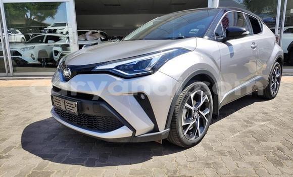 Buy Used Toyota C-HR Silver Car in Livingstone in Zambia Buy Used Toyota C-HR Silver Car in Livingstone in Zambia