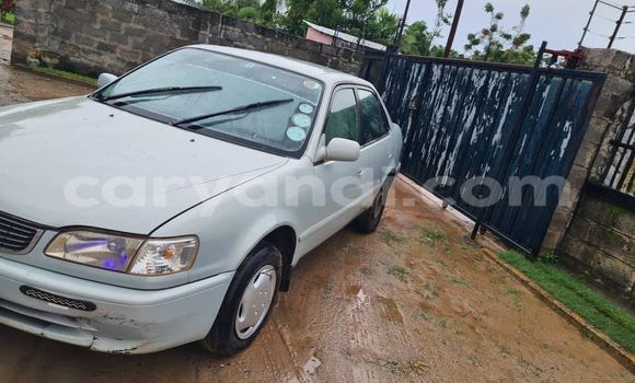Acheter Occasion Voiture Toyota Corolla Gris à Chingola, Zambie Acheter Occasion Voiture Toyota Corolla Gris à Chingola, Zambie