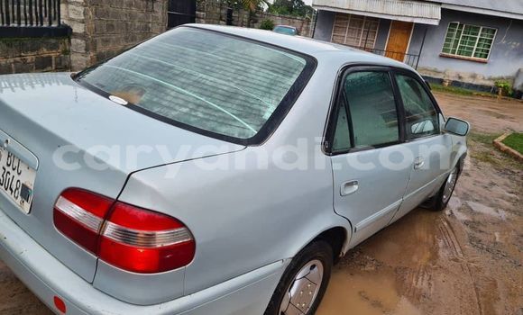 Acheter Occasion Voiture Toyota Corolla Gris à Chingola, Zambie Acheter Occasion Voiture Toyota Corolla Gris à Chingola, Zambie