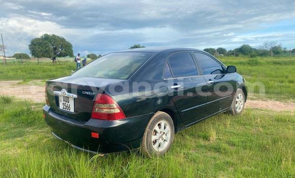 Nunua Ilio tumika Toyota Corolla Nyeusi Gari ndani ya Chingola nchini Zambia