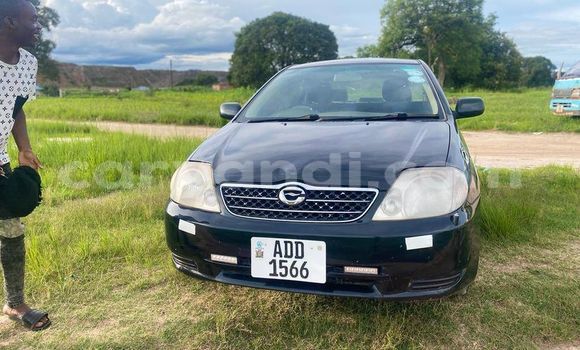 Acheter Occasion Voiture Toyota Corolla Noir à Chingola, Zambie Acheter Occasion Voiture Toyota Corolla Noir à Chingola, Zambie