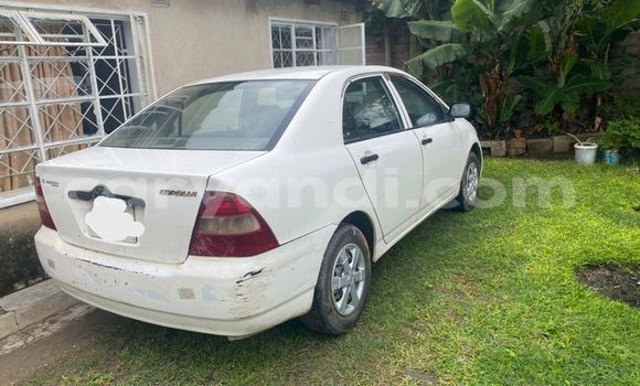 Acheter Occasion Voiture Toyota Corolla Blanc à Chingola, Zambie Acheter Occasion Voiture Toyota Corolla Blanc à Chingola, Zambie