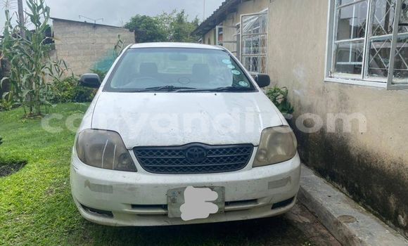 Acheter Occasion Voiture Toyota Corolla Blanc à Chingola, Zambie Acheter Occasion Voiture Toyota Corolla Blanc à Chingola, Zambie