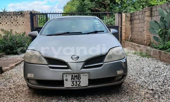 Tenga Tsaru Nissan Primera Sirivha Mota in Lusaka in Zambia Tenga Tsaru Nissan Primera Sirivha Mota in Lusaka in Zambia
