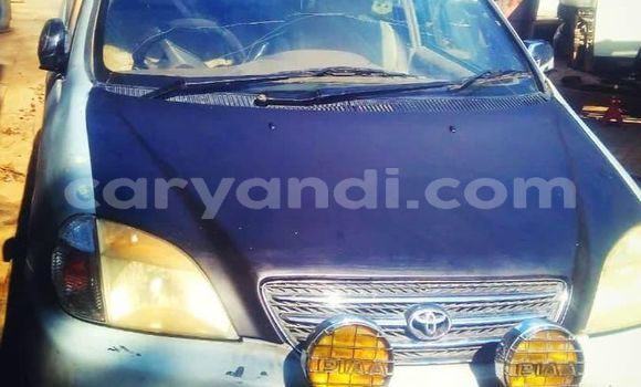 Buy Used Toyota Nadia Other Car in Lusaka in Zambia