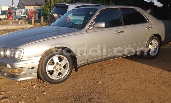 Buy Used Nissan Gloria Silver Car in Lusaka in Zambia