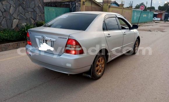 Acheter Occasion Voiture Toyota Corolla Gris à Lusaka, Zambie Acheter Occasion Voiture Toyota Corolla Gris à Lusaka, Zambie