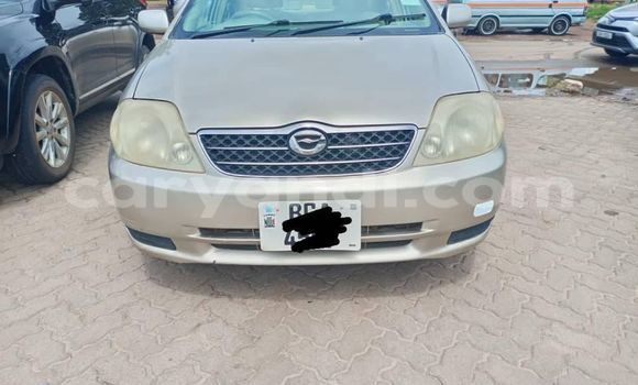 Acheter Occasion Voiture Toyota Corolla Gris à Lusaka, Zambie Acheter Occasion Voiture Toyota Corolla Gris à Lusaka, Zambie