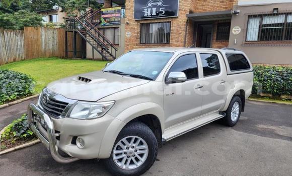 Buy Used Toyota Hilux Silver Car in Livingstone in Zambia Buy Used Toyota Hilux Silver Car in Livingstone in Zambia