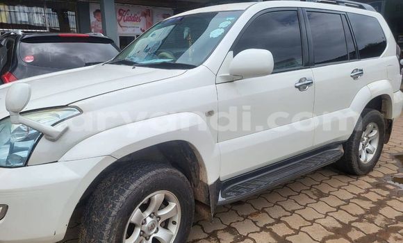 Nunua Ilio tumika Toyota Land Cruiser Prado Nyeupe Gari ndani ya Kitwe nchini Zambia Nunua Ilio tumika Toyota Land Cruiser Prado Nyeupe Gari ndani ya Kitwe nchini Zambia