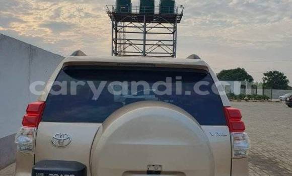 Nunua Ilio tumika Toyota Land Cruiser Brown Gari ndani ya Lusaka nchini Zambia Nunua Ilio tumika Toyota Land Cruiser Brown Gari ndani ya Lusaka nchini Zambia