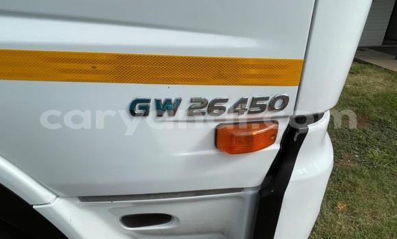 Tenga Tsaru Nissan UD Chena Rori in Livingstone in Zambia Tenga Tsaru Nissan UD Chena Rori in Livingstone in Zambia