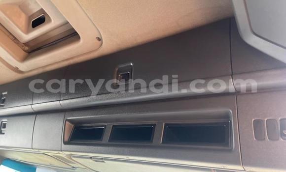 Tenga Tsaru Scania R420 Chena Rori in Lusaka in Zambia Tenga Tsaru Scania R420 Chena Rori in Lusaka in Zambia