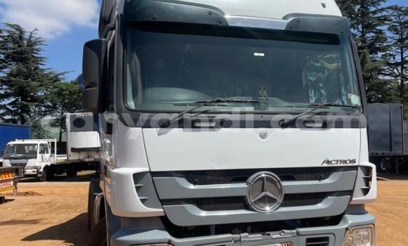 Acheter Occasion Utilitaire Mercedes–Benz 2644 Blanc à Livingstone, Zambie Acheter Occasion Utilitaire Mercedes–Benz 2644 Blanc à Livingstone, Zambie