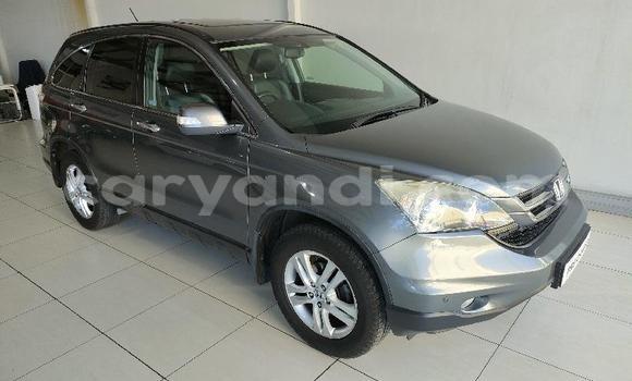 Buy Used Honda CR–V Silver Car in Lusaka in Zambia
