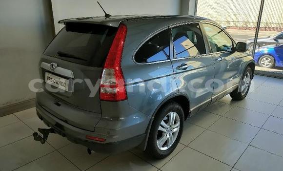 Acheter Occasion Voiture Honda CR–V Gris à Lusaka, Zambie Acheter Occasion Voiture Honda CR–V Gris à Lusaka, Zambie