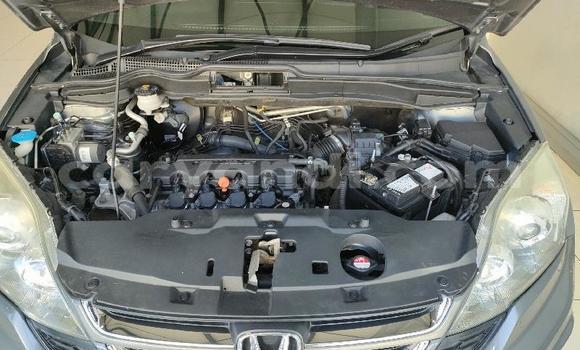 Acheter Occasion Voiture Honda CR–V Gris à Lusaka, Zambie Acheter Occasion Voiture Honda CR–V Gris à Lusaka, Zambie