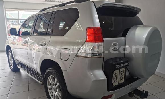 Acheter Occasion Voiture Toyota Land Cruiser Prado Gris à Lusaka, Zambie Acheter Occasion Voiture Toyota Land Cruiser Prado Gris à Lusaka, Zambie