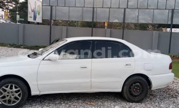 Buy Used Toyota Corolla White Car in Lusaka in Zambia Buy Used Toyota Corolla White Car in Lusaka in Zambia