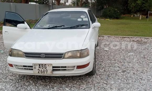 Acheter Occasion Voiture Toyota Corolla Blanc à Lusaka, Zambie Acheter Occasion Voiture Toyota Corolla Blanc à Lusaka, Zambie